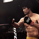 Illustration for article titled Meet The Mystery Fighter of EA Sports UFC: Bruce Lee